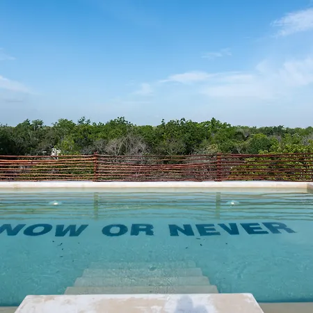 Unho Tulum